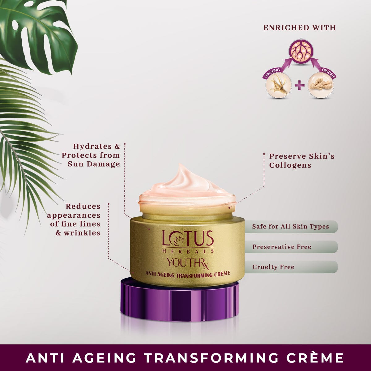 Lotus Ginger & Ginseng Skincare - YouthRx Anti-Ageing Products